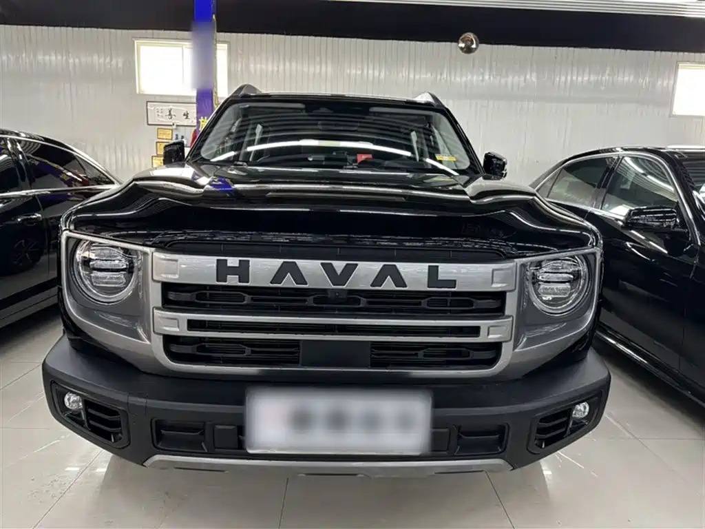Haval Big Dog 2024 1.5T DCT Border Collie Edition фото 14