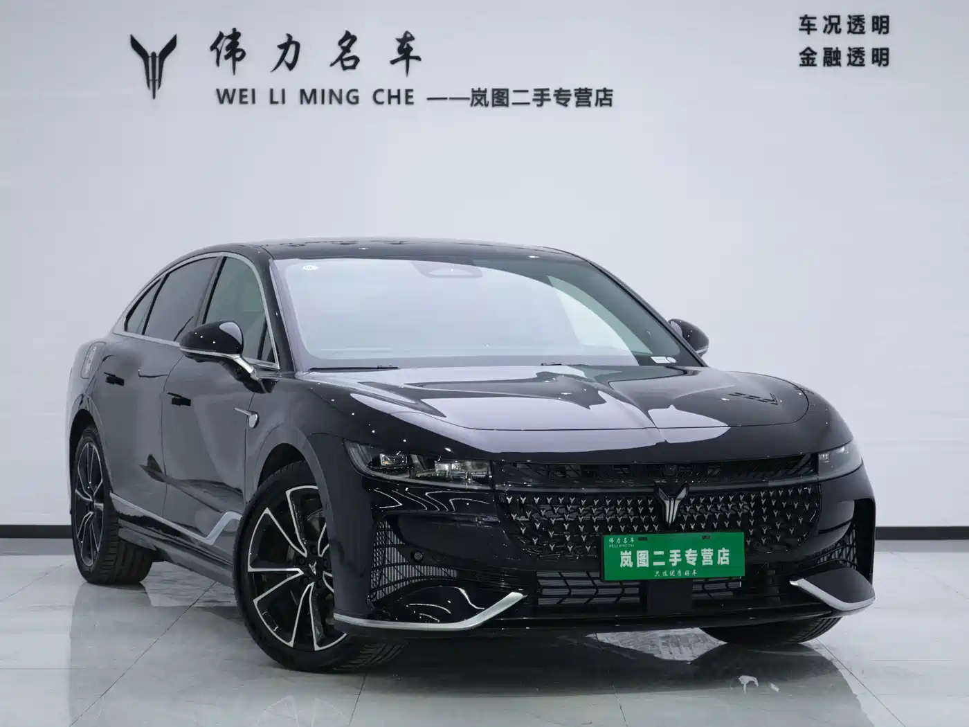 Voyah Auto VOYAH Zhuiguang 2024 PHEV AWD Ultra Long Range Flagship фото 3