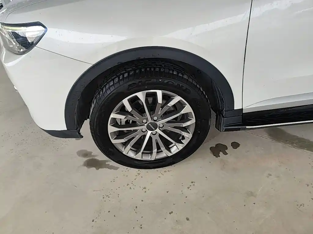 Фото 23 - Haval H6