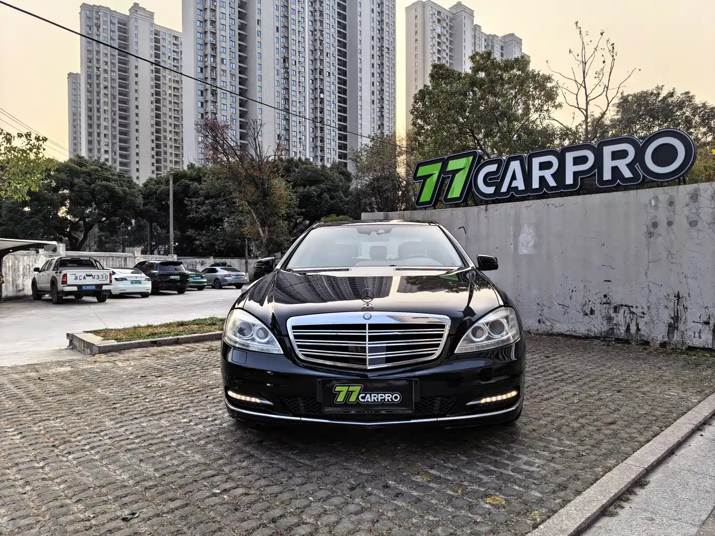 Mercedes-Benz S-Class 2010 S 600 L фото 2