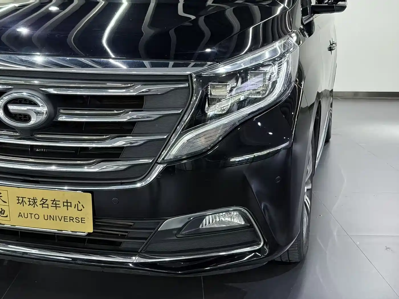 GAC Trumpchi Trumpchi M8 2018 320T Premium Edition фото 8