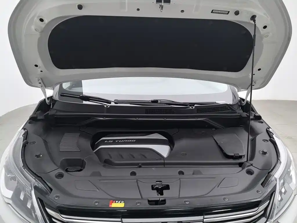SAIC Maxus Maxus G50 2019 2019 1.5T Automatic Premium Edition China VI
