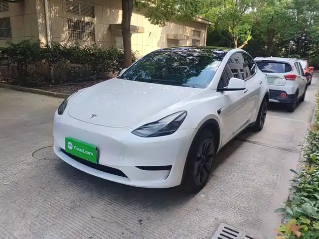 Tesla Model Y Задний привод