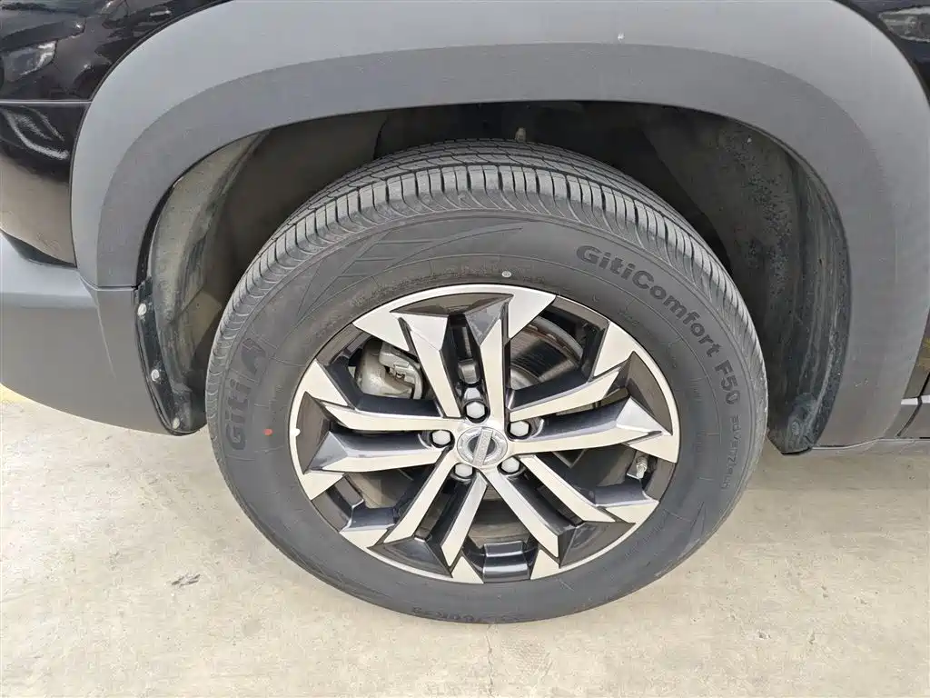 Haval Big Dog 2021 1.5T DCT 2WD Border Collie Edition фото 25