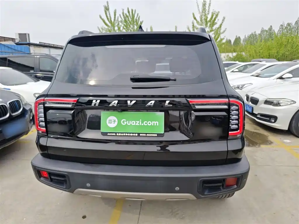 Haval Big Dog 2021 1.5T DCT 2WD Border Collie Edition фото 4