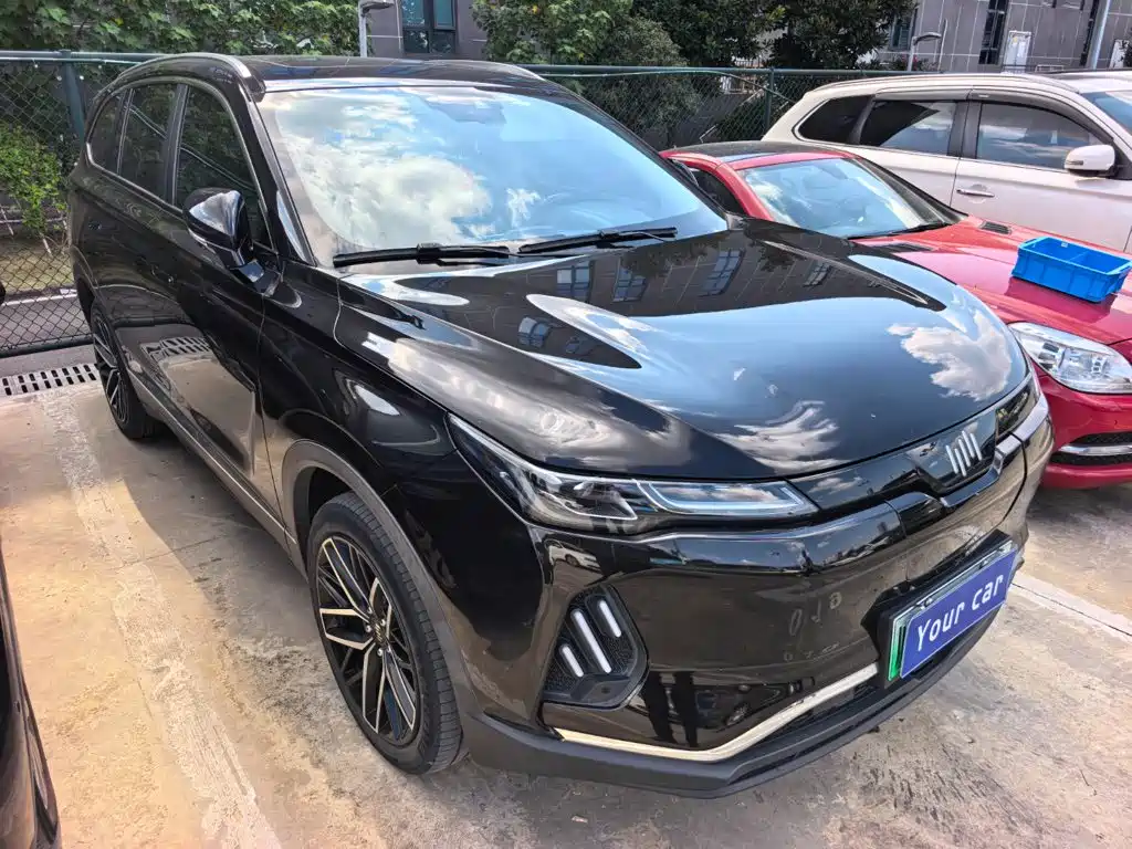 Weltmeister EX6 2020 2020 Plus First Founder Edition