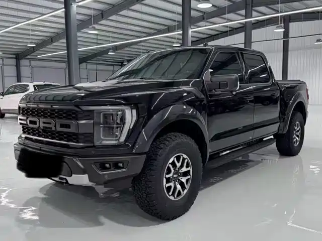 FORD F-150 RAPTOR 2024