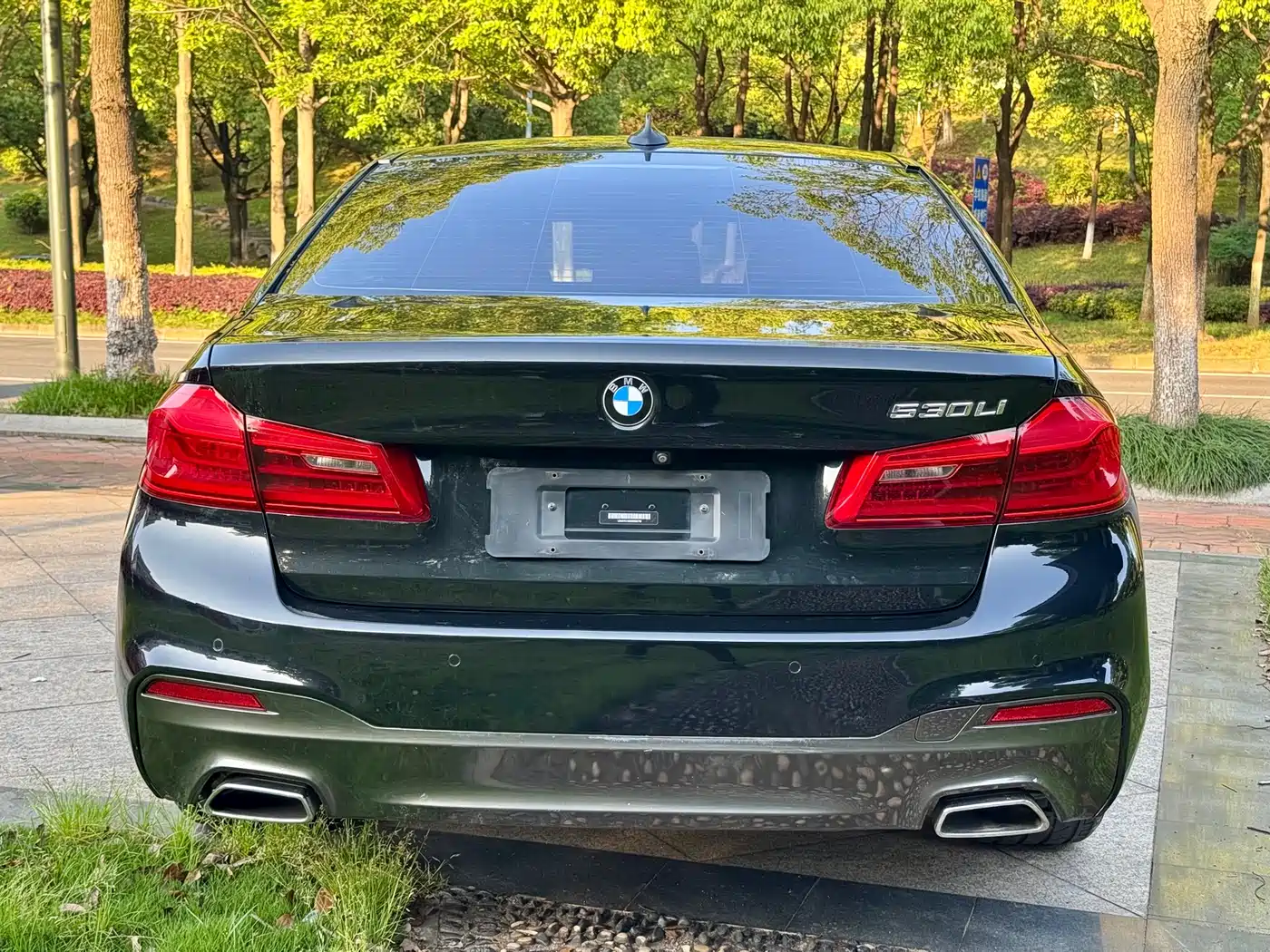 BMW 5 Series 2019 530Li Leading M Sport Package фото 4