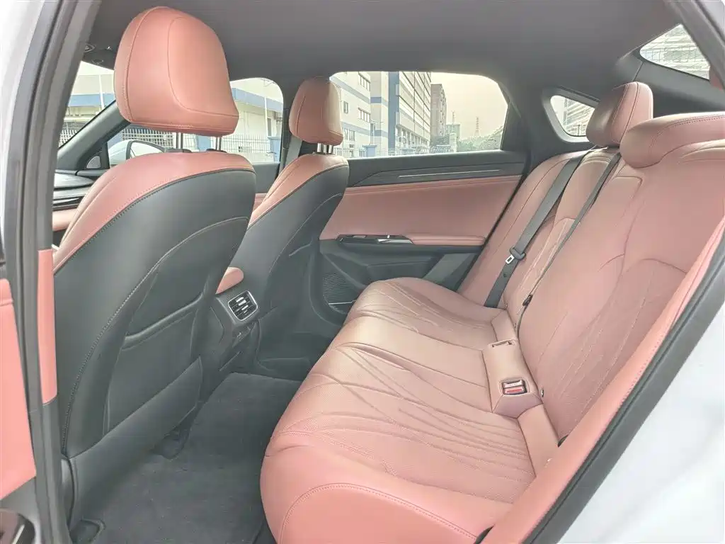 Geely Galaxy Galaxy L6 2025 EM-i 140km Voyage Edition фото 12
