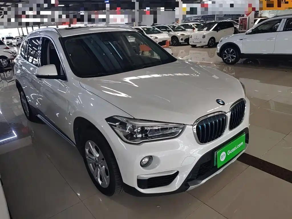 BMW X1 New Energy 2019 xDrive25Le Range Upgrade Edition фото 4