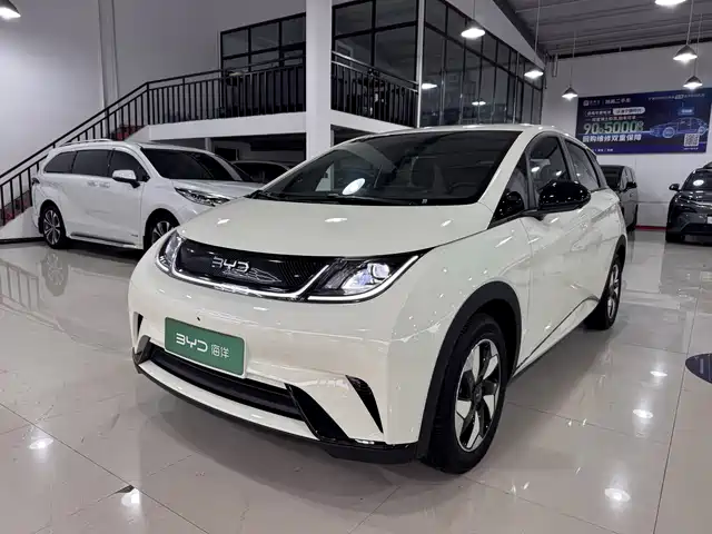BYD Dolphin 420km, Свобода