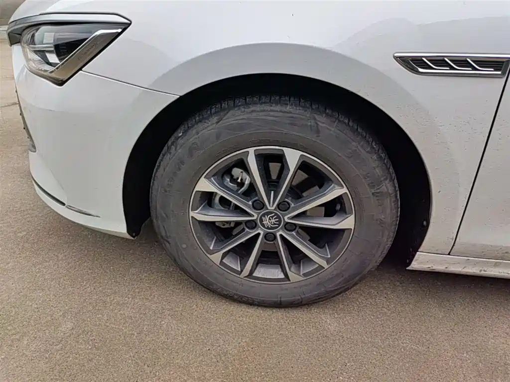 BYD Qin PLUS 2023 Champion Edition DM-i 55KM Leading фото 23