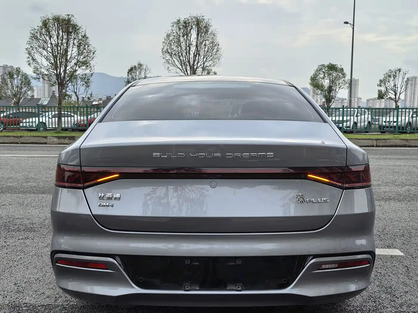 BYD Qin PLUS 2021 DM-i 55KM Flagship фото 12