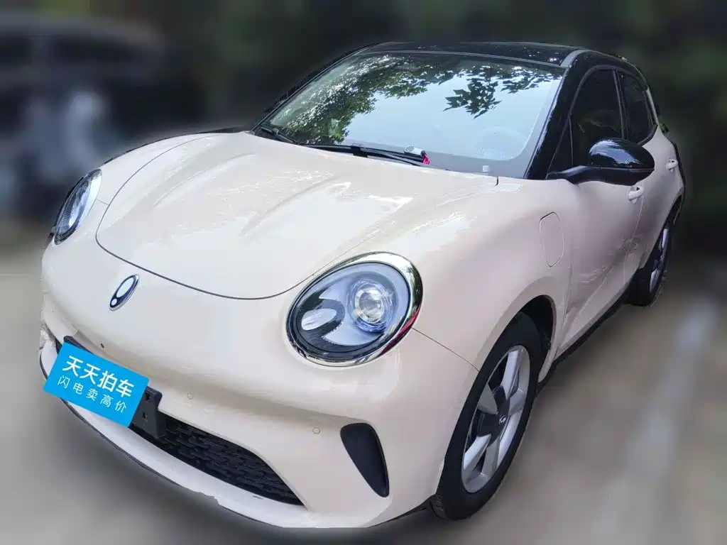Ora Ora Good Cat 2025 430km Honor Edition