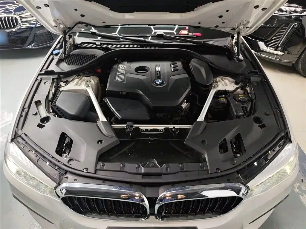 BMW 5 Series 2019 530Li Leading M Sport Package фото 20