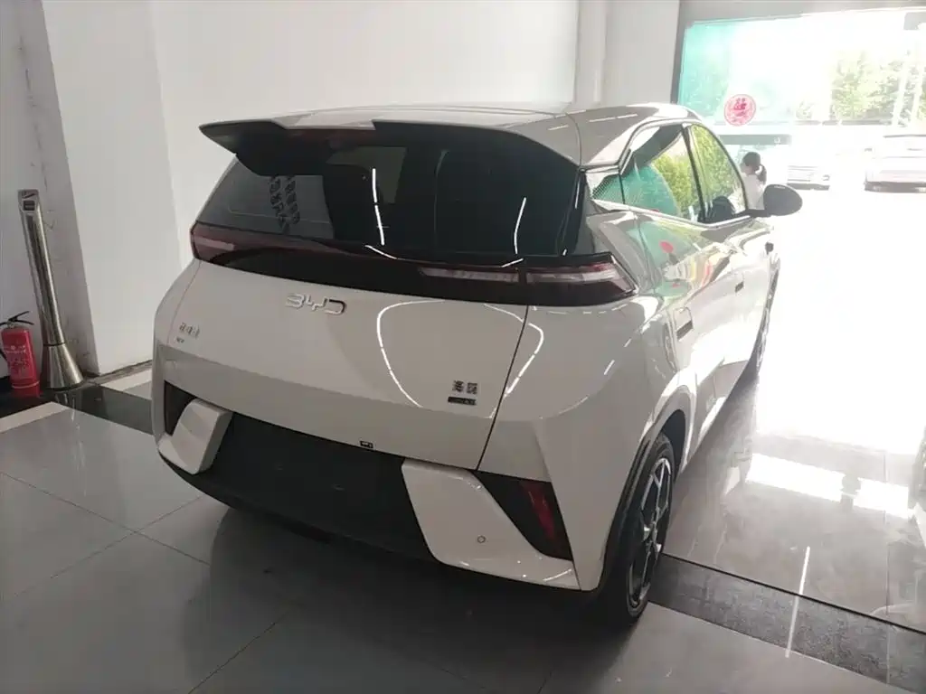 BYD Seagull 2025 Smart Drive Edition 305km Freedom Version фото 7