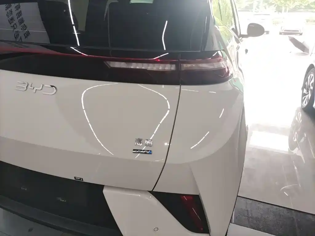BYD Seagull 2025 Smart Drive Edition 305km Freedom Version фото 8