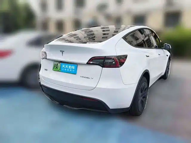 Tesla Model Y 2024 Rear-Wheel Drive Version — фото 2