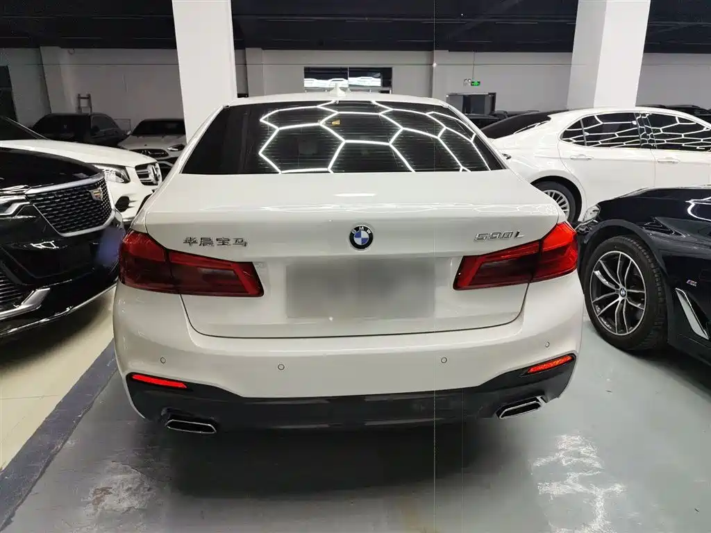 BMW 5 Series 2019 530Li Leading M Sport Package фото 6