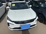 Фото 3 - Geely Binrui