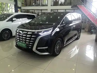 Denza D9