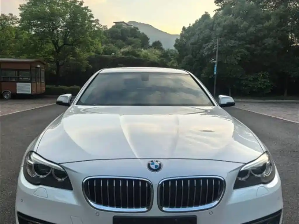BMW 5 Series 2017 525Li Luxury Design Package фото 2