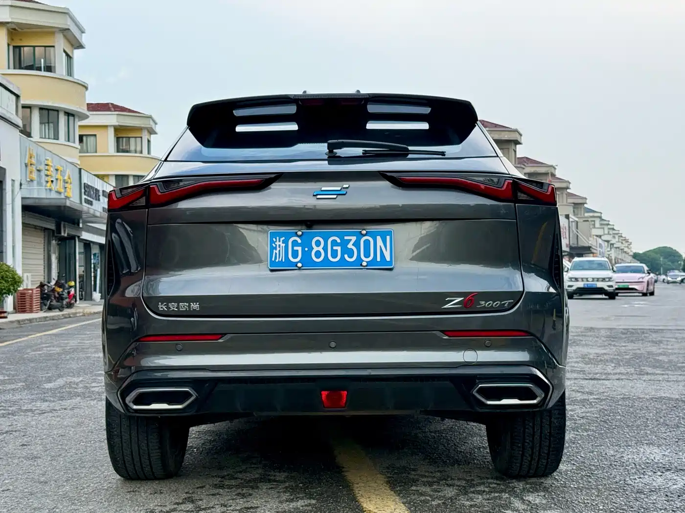 Changan Oshan Z6 2023 2022 Blue Whale 1.5T DCT Intelligent Premium