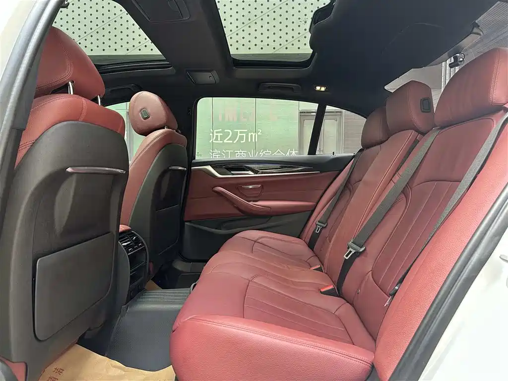 BMW 5 Series 2019 530Li Leading M Sport Package фото 17