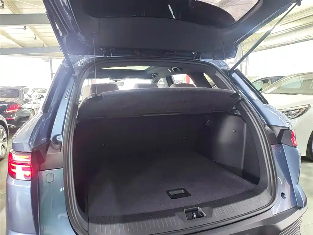 BYD Song Pro New Energy 2023 Champion Edition DM-i 71KM Leading Type фото 19