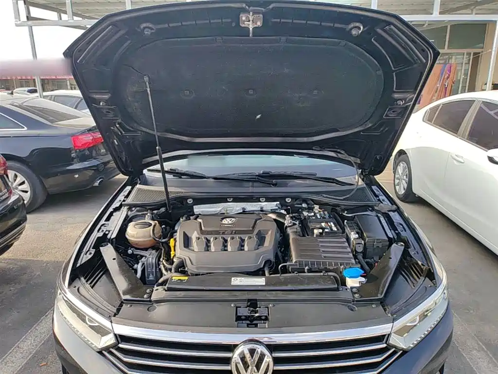 Volkswagen Magotan 2019 330TSI DSG Leading China V фото 16