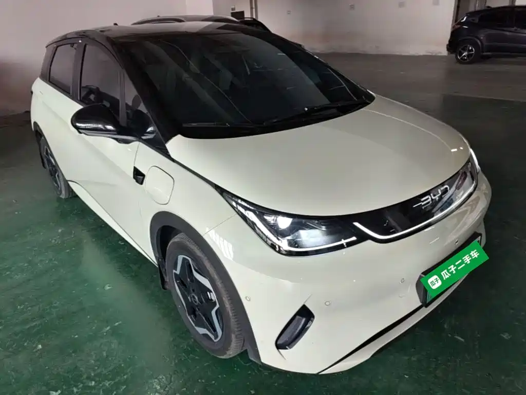 BYD Dolphin 2025 2025 Smart Drive Edition 420km Freedom Version
