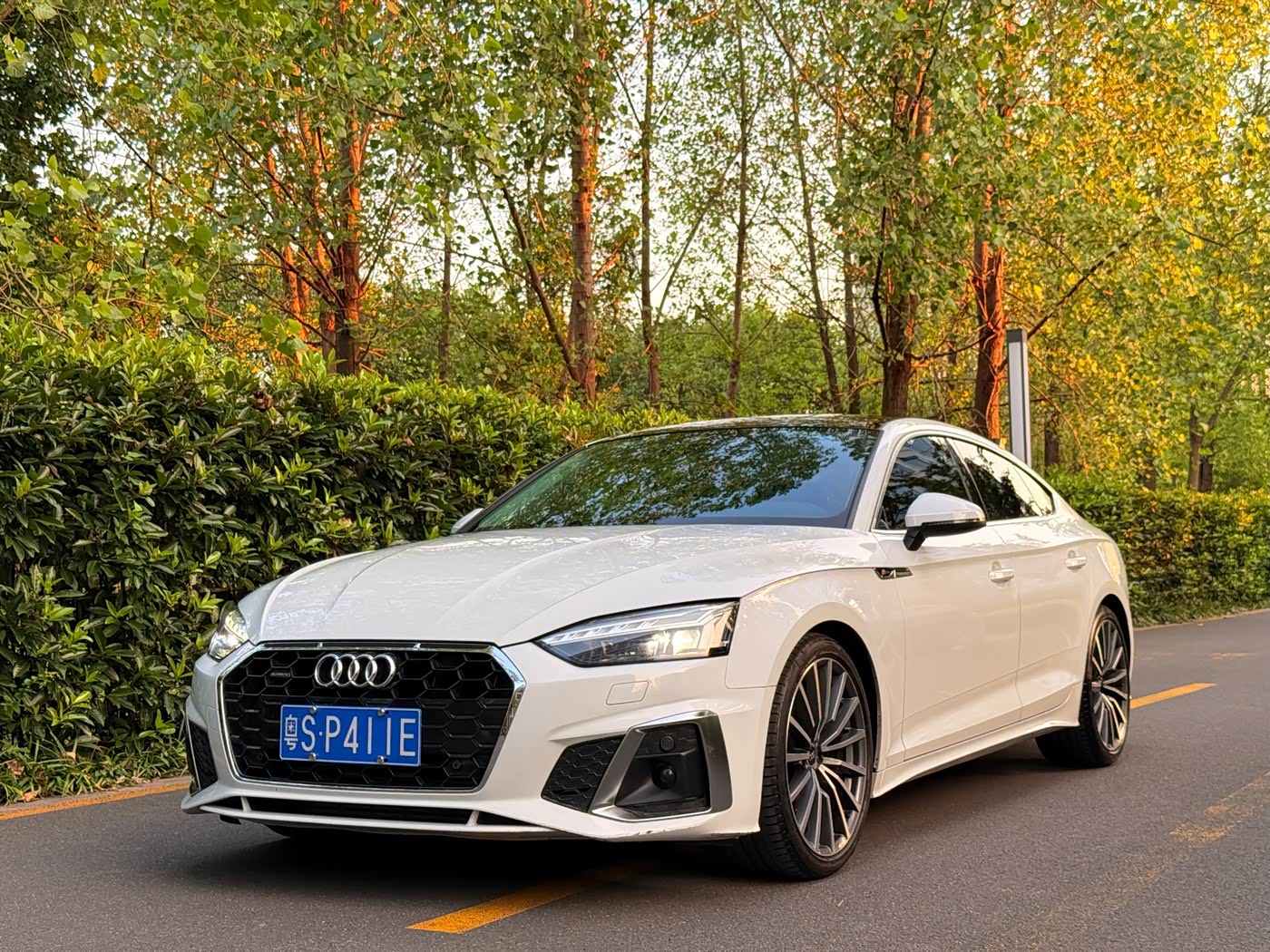 Audi A5 (Import)