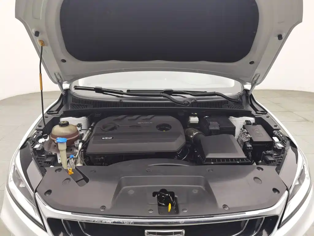 Фото 6 - Geely Binrui