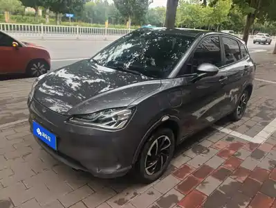 Neta V