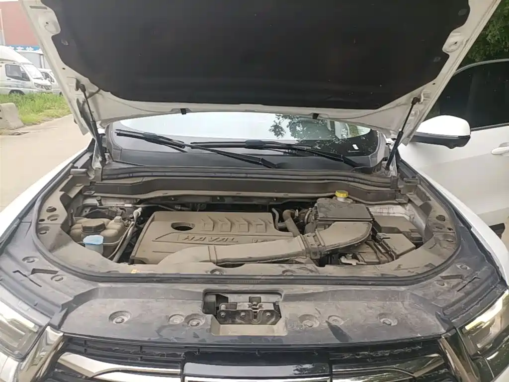 Haval H6 2021 Model National Trend Edition 1.5T Auto Champion фото 20