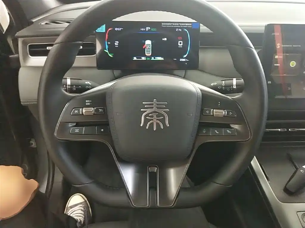 BYD Qin PLUS 2025 DM-i Smart Drive 55KM Leader фото 11