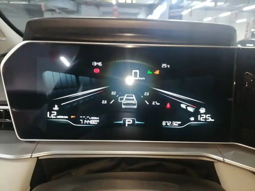 Фото 8 - Geely Binrui