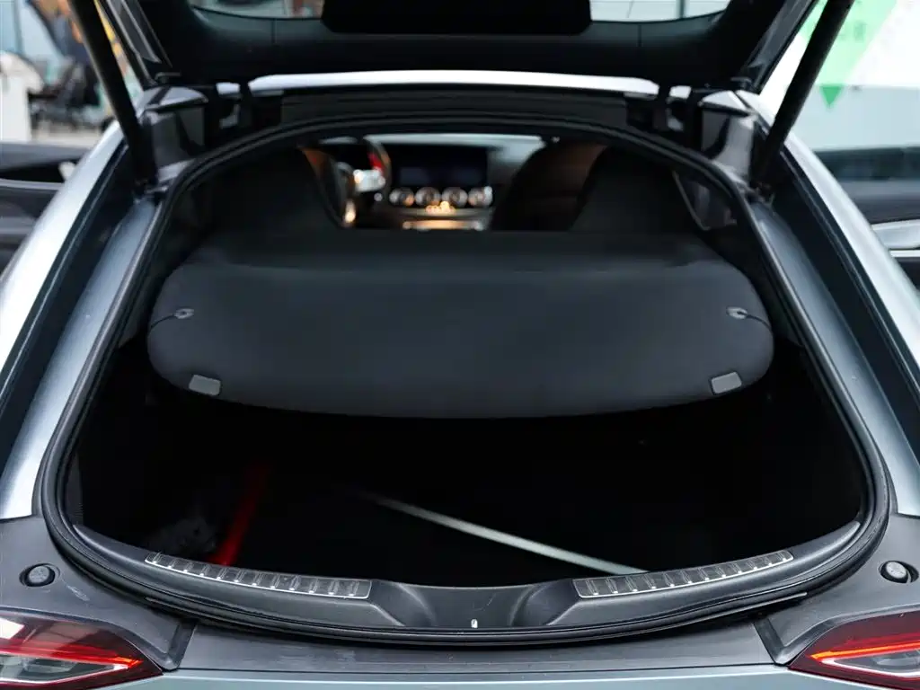 Mercedes-Benz AMG GT 2019 AMG GT 50 4-Door Coupe фото 40