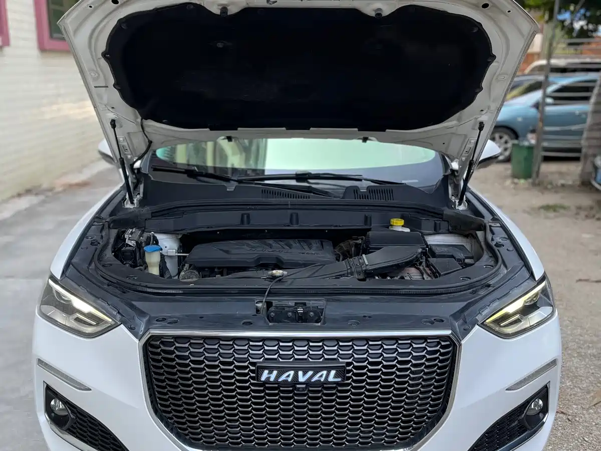 Haval F5 2018 1.5T i-Trend фото 12