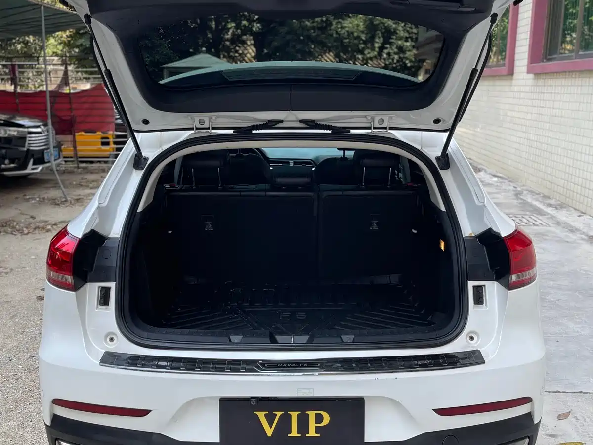 Haval F5 2018 1.5T i-Trend фото 15