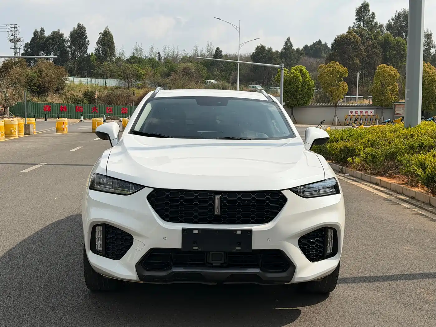 WEI PAI WEI BRAND VV7