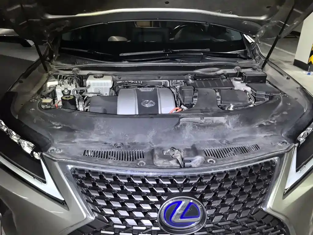 Фото 11 - Lexus RX
