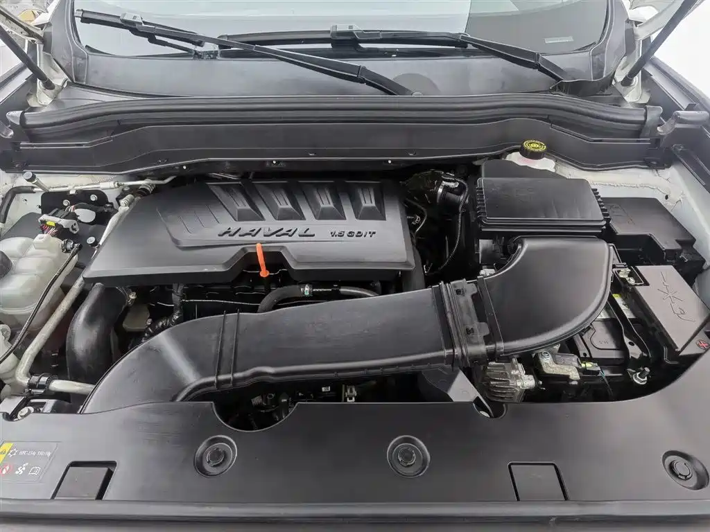Haval H6 2021 1.5GDIT Automatic Champion Edition фото 6