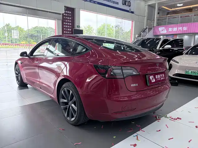 Tesla Model 3 2021 Standard Range Rear-Wheel Drive Upgrade — фото 5
