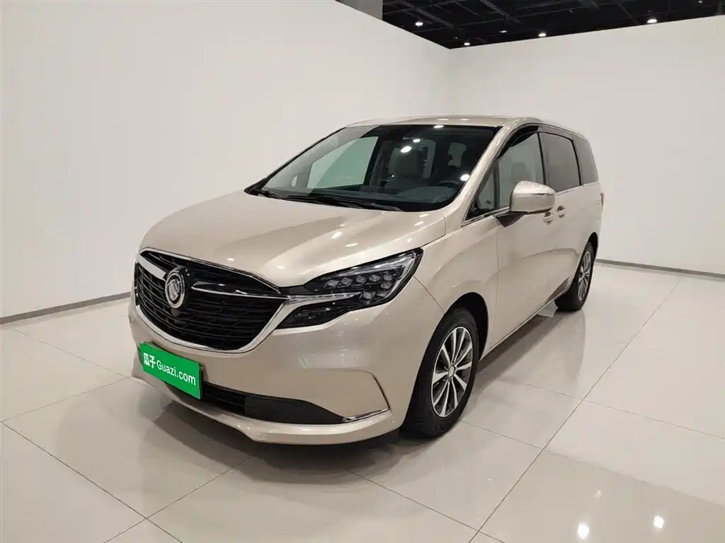 Buick GL8 2021 ES Landlord 653T Comfort фото 2