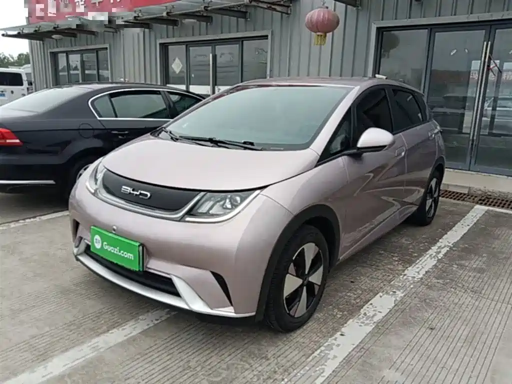 BYD Dolphin 2023 420km Freedom Edition
