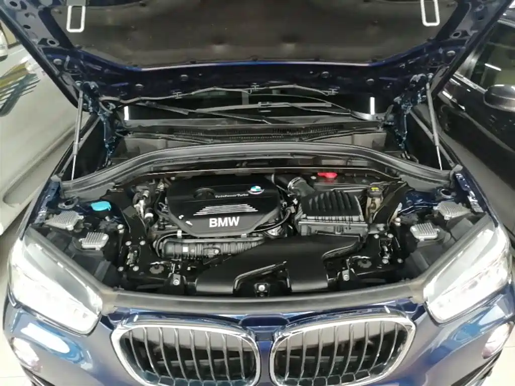 BMW X1 2019 xDrive20Li Luxury Model фото 20
