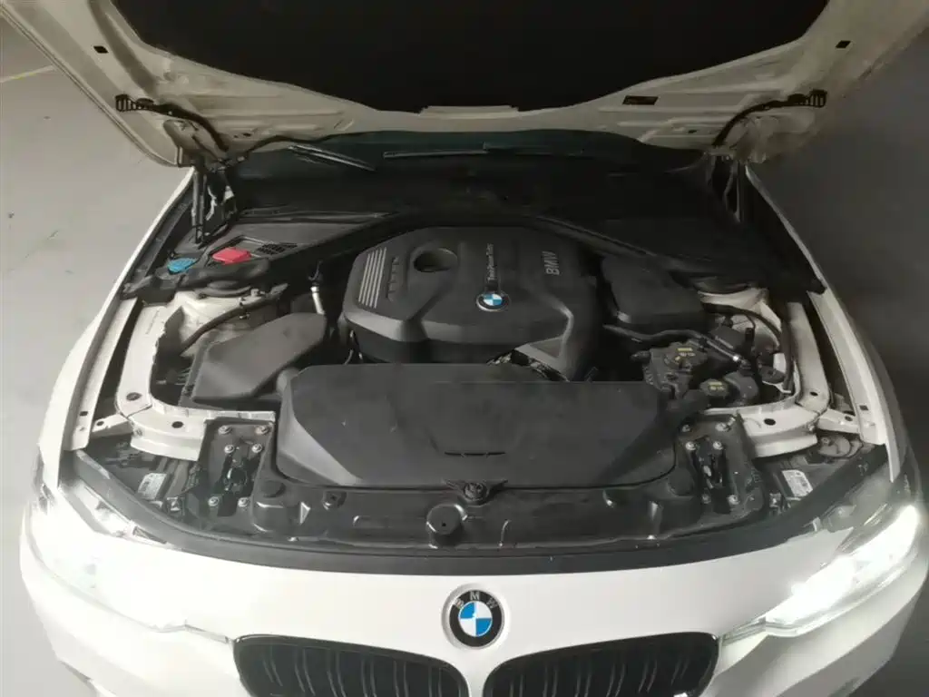 BMW 3 Series 2019 320i M Sport Black Night Edition фото 20