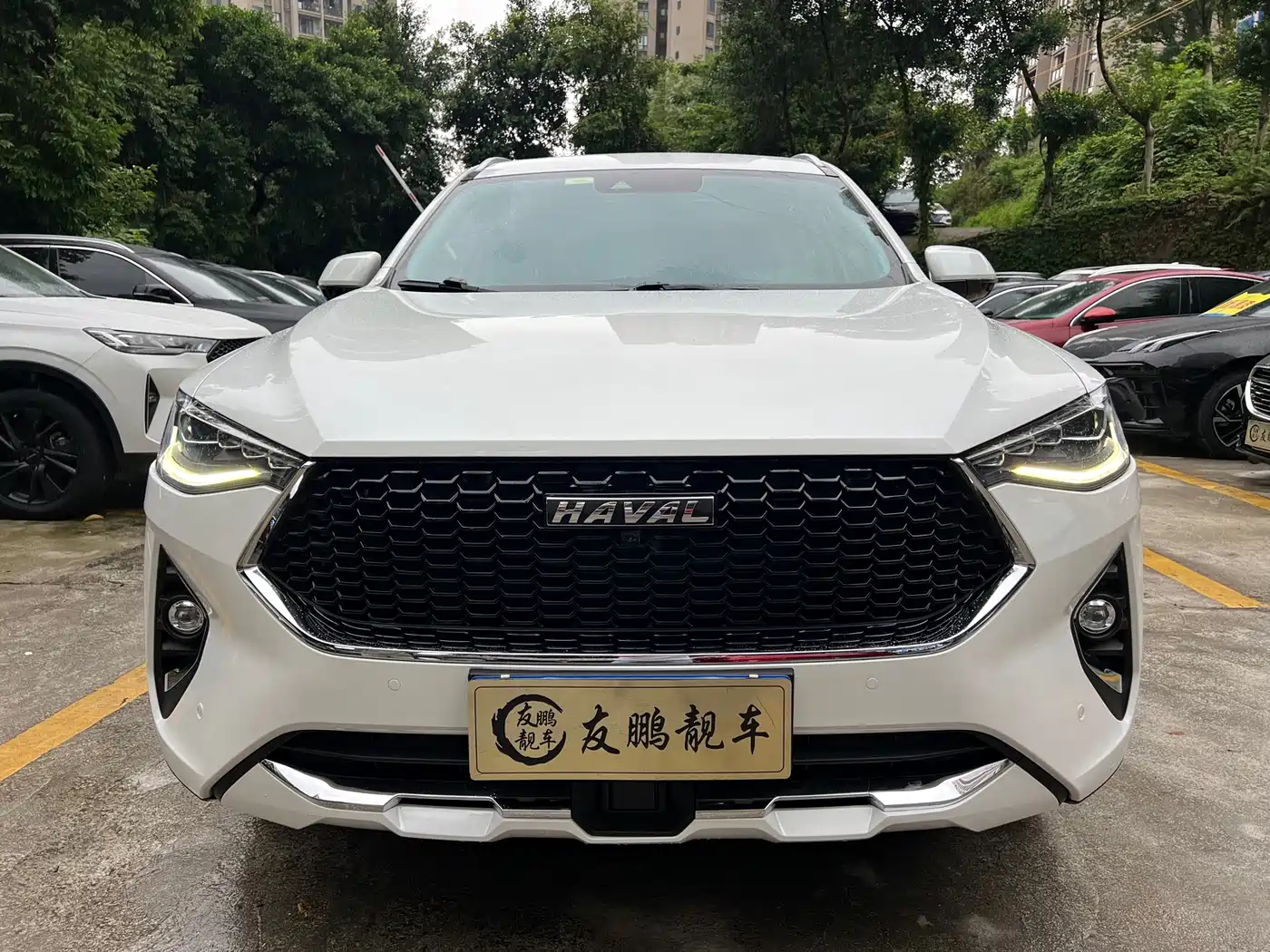 Haval F7 2019 2.0T 4WD i-Joy China VI фото 2