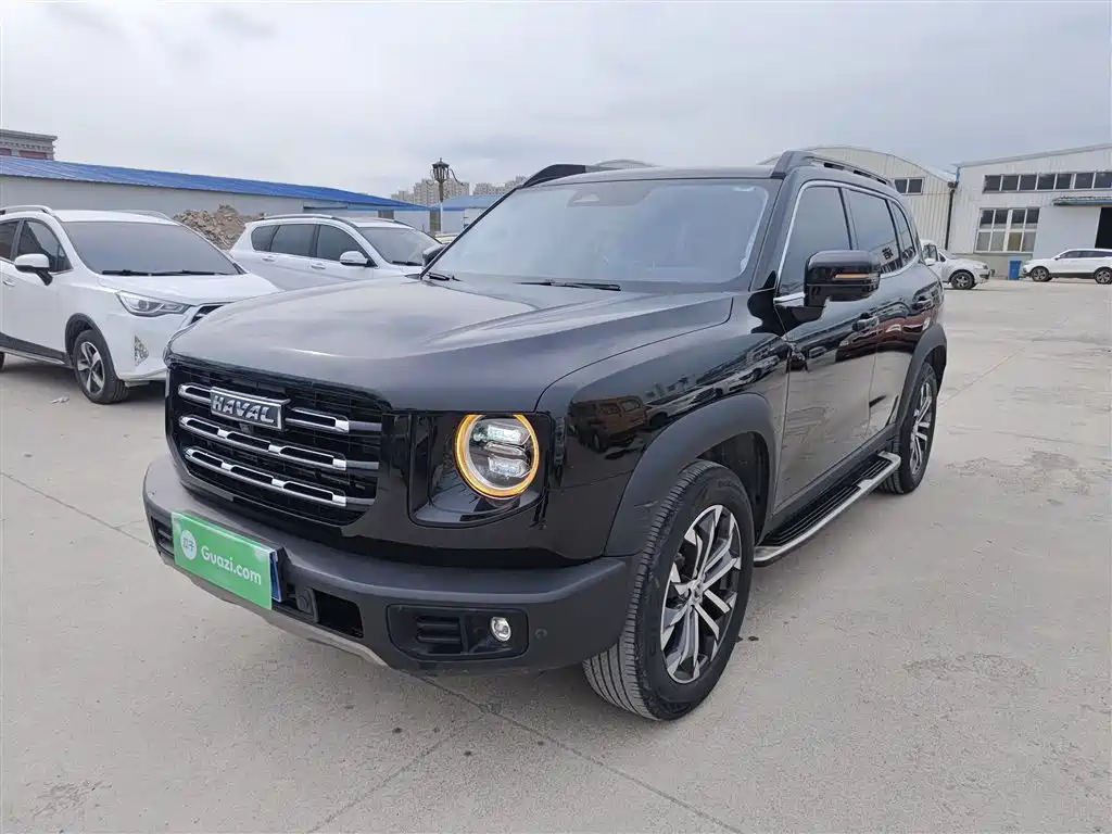 Haval Big Dog 2021 1.5T DCT 2WD Border Collie Edition